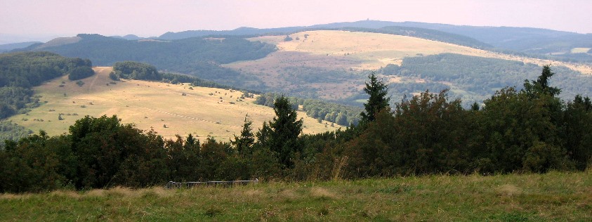 Offenland mit naturnahen Mischwäldern in der Hohen Rhön Bild © VLAB