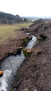 Kahl geschlagene Bachaue in Nordbayern. Bild ©VLAB