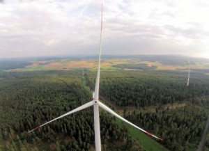 Windrad im Wald