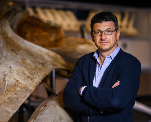 Prof. Dr. Matthias Glaubrecht