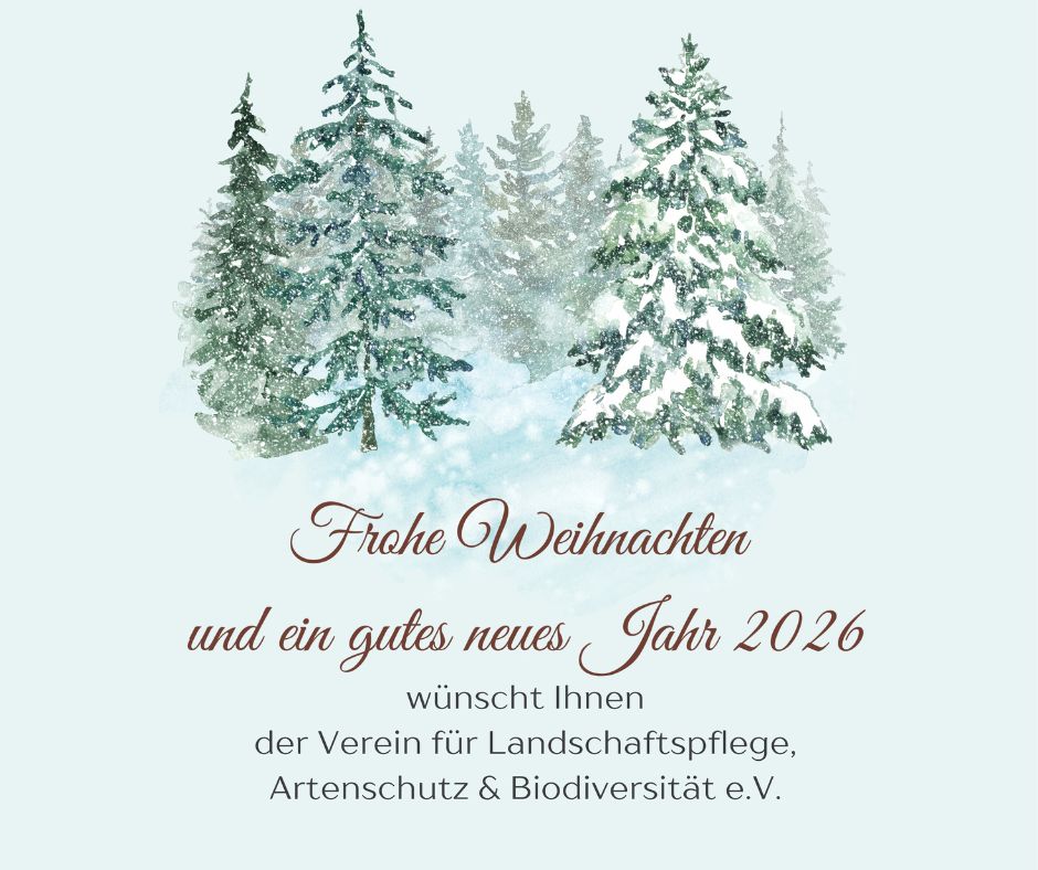 Das Bild zeigt einen Wald im Winter. Unterhalb des Bildes stehen Weihnachts- und Neujahresgrüße