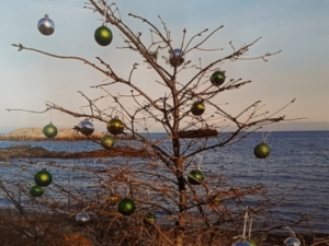 Weihnachtsbaum