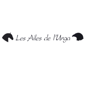 Logo Les Ailes de l'Urga